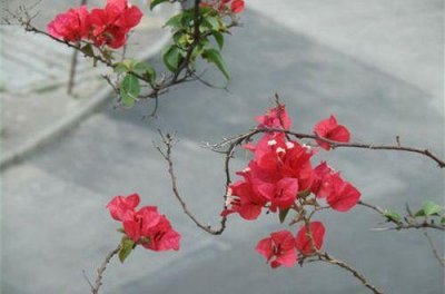 ​人生感悟伤感语录句句戳心(精选30句)