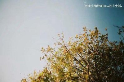 ​心的谚语50句