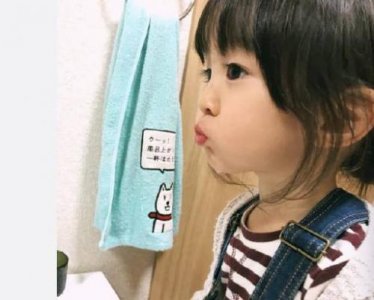 ​所见人生感悟