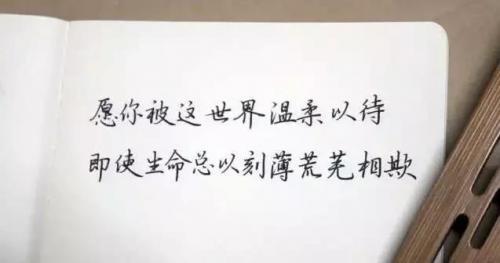 人生感悟的句子素材锦集