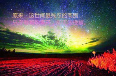 ​人生感悟语句摘录79条