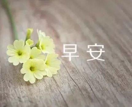 人生感悟精辟文章