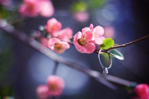 【必备】人生感悟好句锦集86条