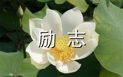 ​描写雪景心情的句子93句