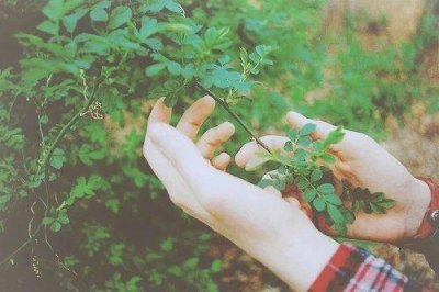 ​表达心情的经典语录87句