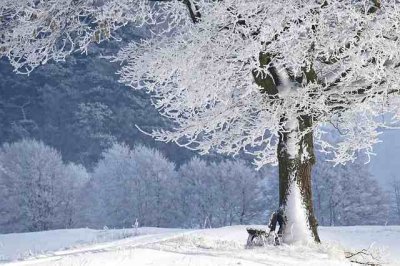 ​节气霜降朋友圈心情说说（精选65条）