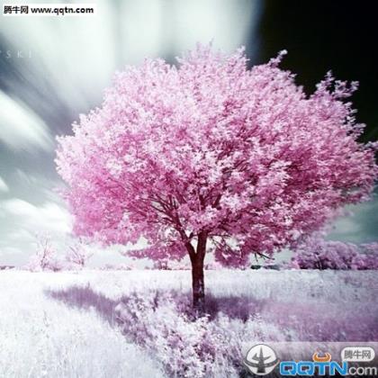 失眠的句子微信朋友圈