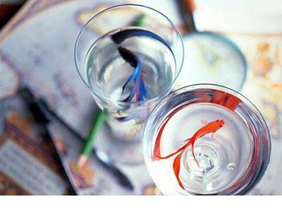 鼓励失恋人的经典语句