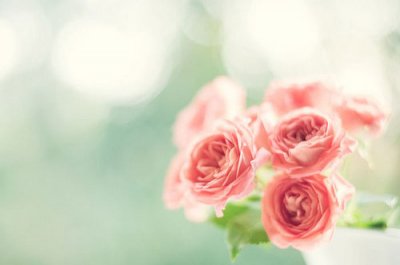 ​心灵鸡汤版微信个性签名(51句)