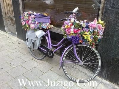 ​女人运动打卡心情说说女人运动打卡幽默说说(精选30句)