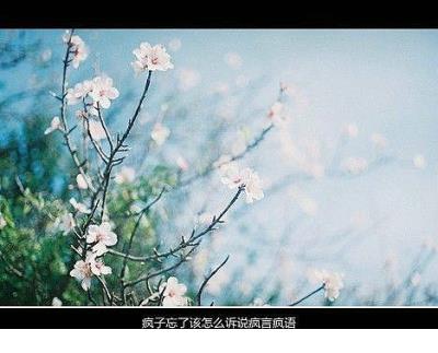 表达心情愉悦的句子