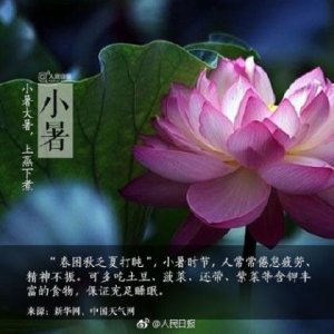 ​生日感言简短些真实点 生日短句十个字内