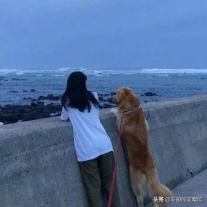 ​形容心情复杂的句子