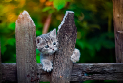 ​男孩大气有涵养的名字取名（精选5820个）