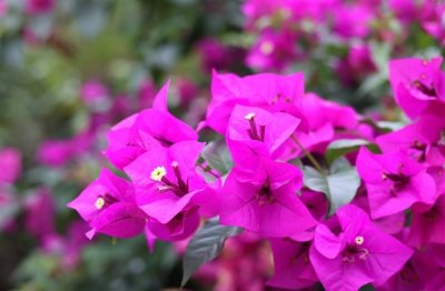 ​甜美的情侣网名大全(99个)