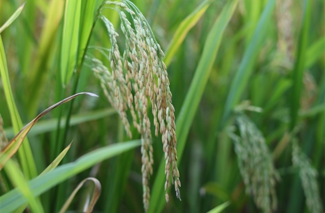 好听的qq情侣名(精选74个) 好听的qq情侣名(精选74个)