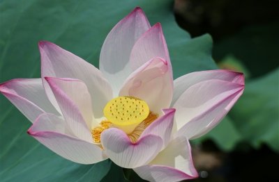 ​抖音微信情侣网名大全(优选70个)