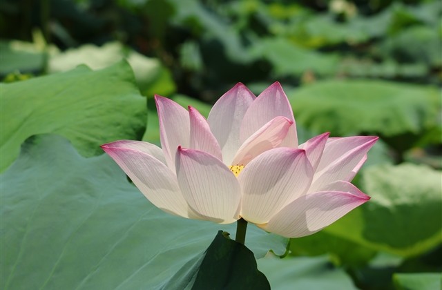 繁体字QQ情侣网名(优选72个) 繁体字QQ情侣网名(优选72个)