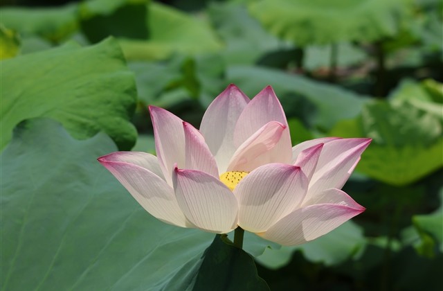 有创意不明显的情侣名沙雕 有创意不明显的情侣名沙雕