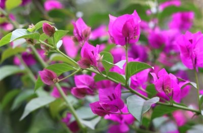 ​有创意不明显的情侣名沙雕