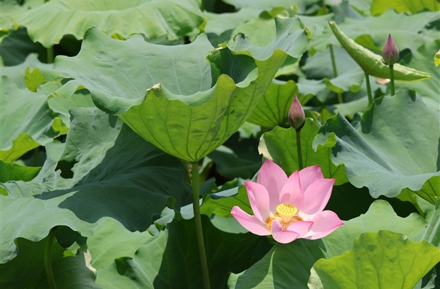 小红书最火情侣网名(123个) 小红书最火情侣网名(123个)