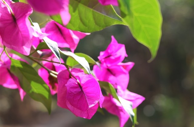 搞怪的王者情侣名字 搞怪的王者情侣名字