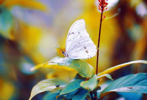 1683977174893124.png image.png