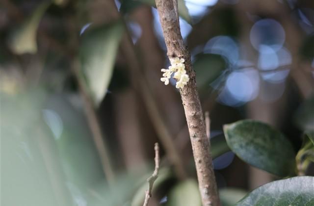 2个字小清新游戏情侣名字(优选197个) 2个字小清新游戏情侣名字(优选197个)