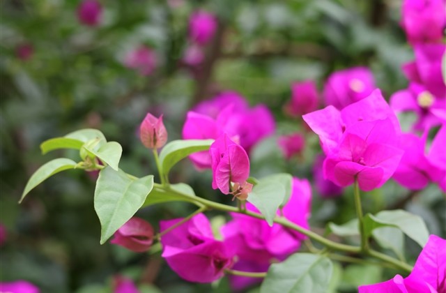 好听的情侣名字游戏ID 好听的情侣名字游戏ID