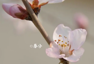 ​优雅的情侣网名(共165个)