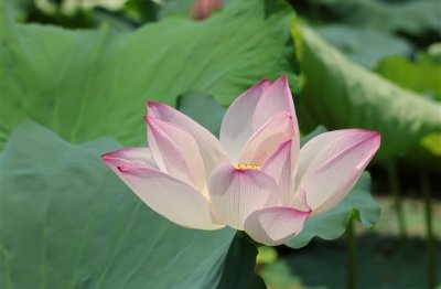 ​一看就知道是情侣的游戏名(优选243个)