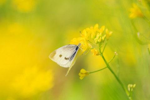 qq签名经典语句伤感