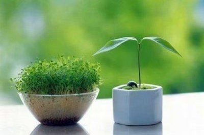 ​叛逆青春伤感的句子