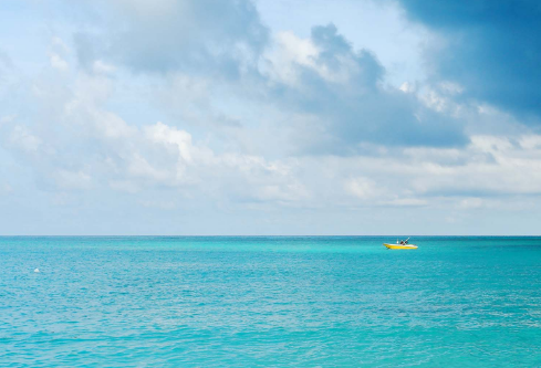 1687251967136217.png image.png