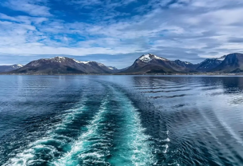 1687273281109154.png image.png