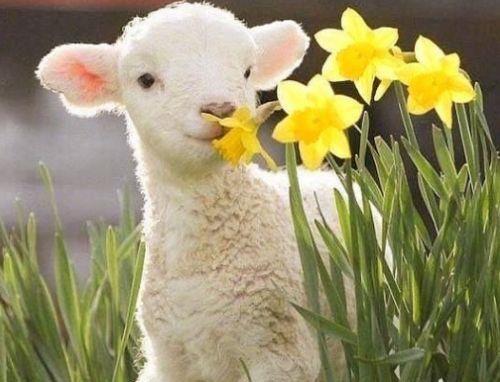 情人节伤感的句子 唯美伤感的句子