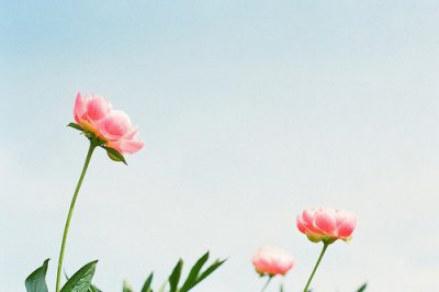 ​女生分手说说大全唯美伤感说说44句