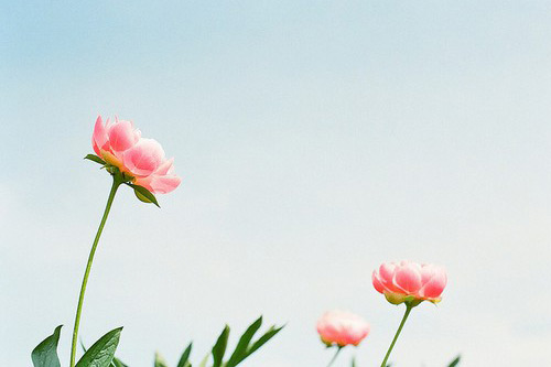 女生分手说说大全唯美伤感说说44句