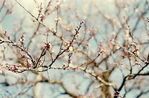 关于友情伤感句子语录