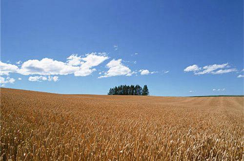 简洁的文艺伤感句子49条