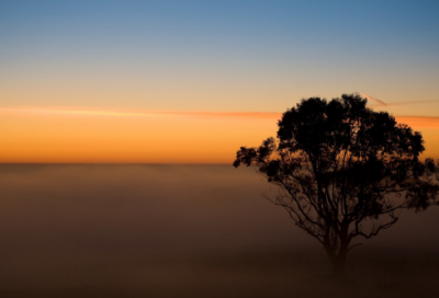 ​心情句子心情短语【心累了的感情句子】