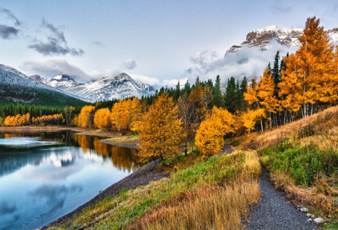 1702246226405462.png image.png