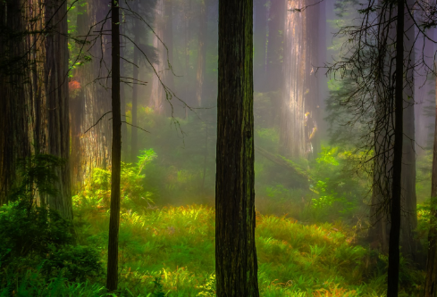 1702263279464156.png image.png