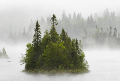 ​周末小聚心情短语 周末句子说说心情短语(精选55句)