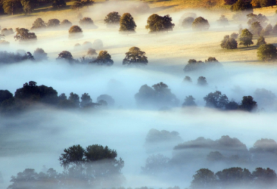 ​生活哲理句子精辟3(说说心情短语人生感悟)