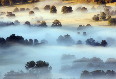 1702279671423121.png image.png