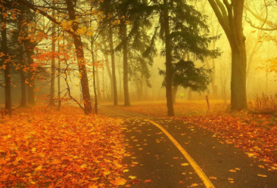 ​旅游放松心情的句子(使人心情放松的纯音乐)