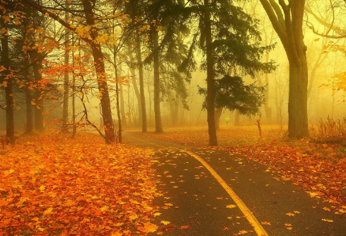 1702282156522000.png image.png