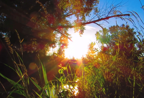 1711048225229759.png image.png