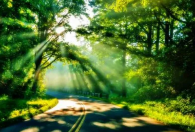 ​关于酒后深情句子 朋友圈可发的酒后心情感悟人生的句子